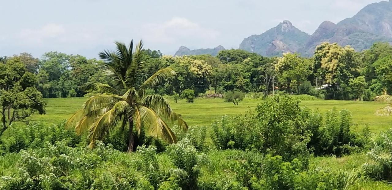 Nelu Resort Sigiriya Exterior photo